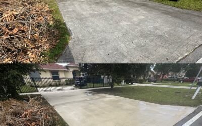 Driveway Pressure Washing in Homestead, FL – Concrete, Pavers & More